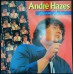 ANDRÉ HAZES Gewoon André (EMI – 1A 064-26677) Holland 1981 LP